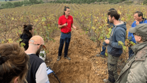 Durant les formations terrain, l'équipe agro de Celesta-Lab est souvent amené à commenter les horizons de sol grâce à la réalisation d'une fosse pédologique. (crédit photo: Celesta-Lab)