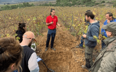 Durant les formations terrain, l'équipe agro de Celesta-Lab est souvent amené à commenter les horizons de sol grâce à la réalisation d'une fosse pédologique. (crédit photo: Celesta-Lab)